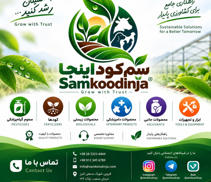 5 اشتباه رایج