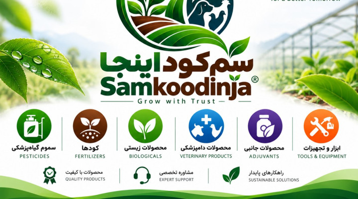 5 اشتباه رایج